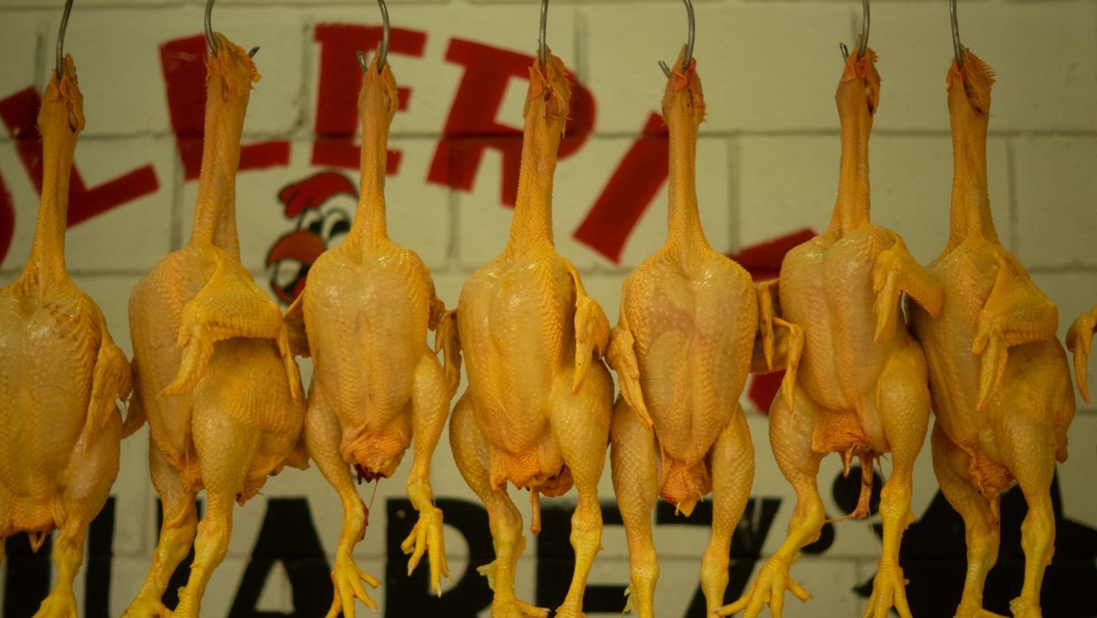 Whole Chicken Griller