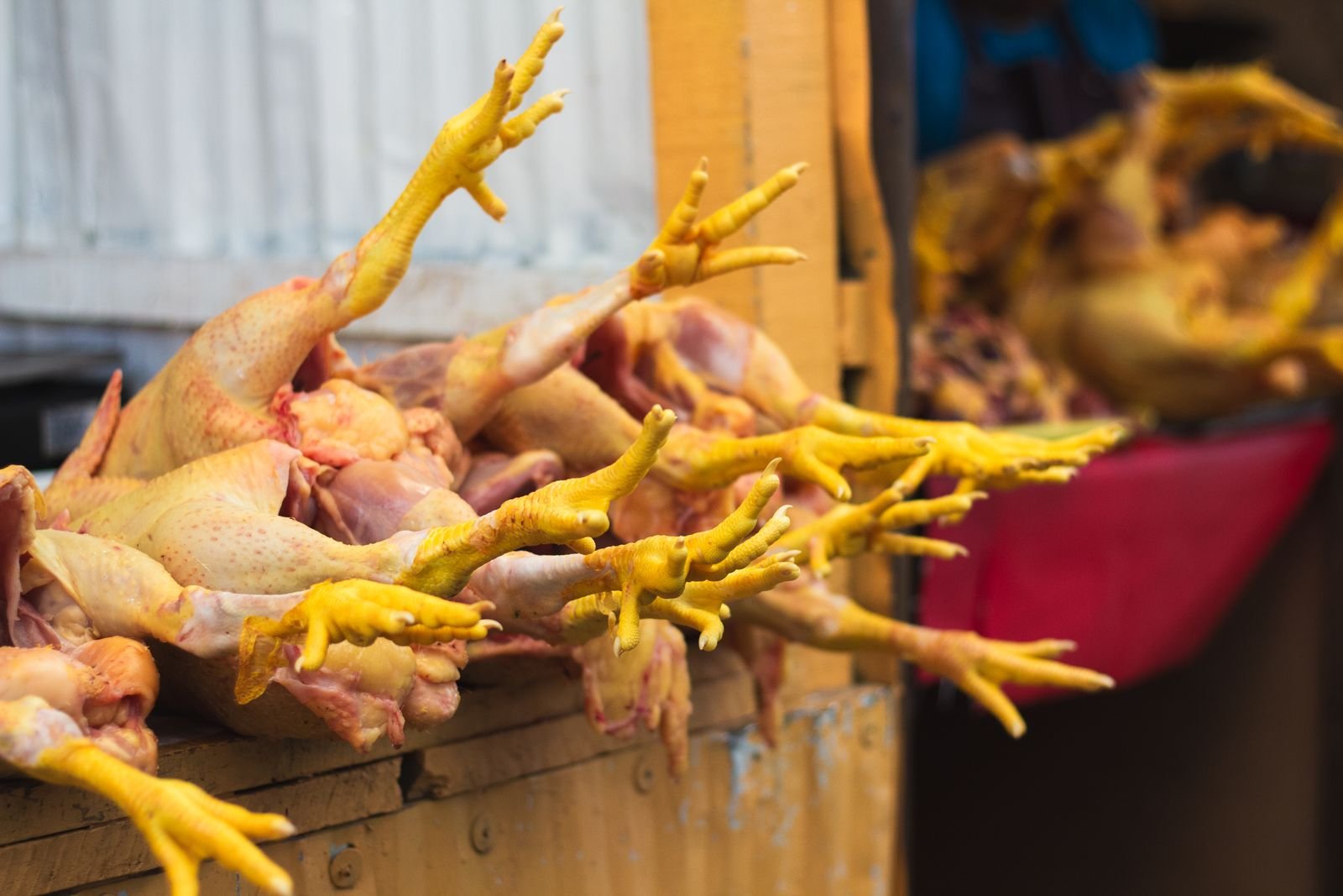 Chicken Foot / Feet